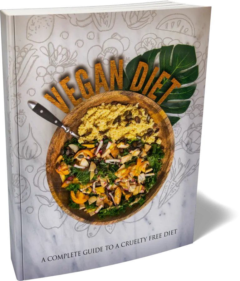 Vegan Diet Guide: Benefits, Basics, and Lifestyle Tips